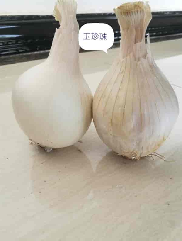 宜信农业玉珍珠